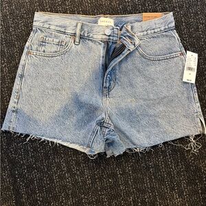 PacSun Blue Jean Shorts with Frayed Hem